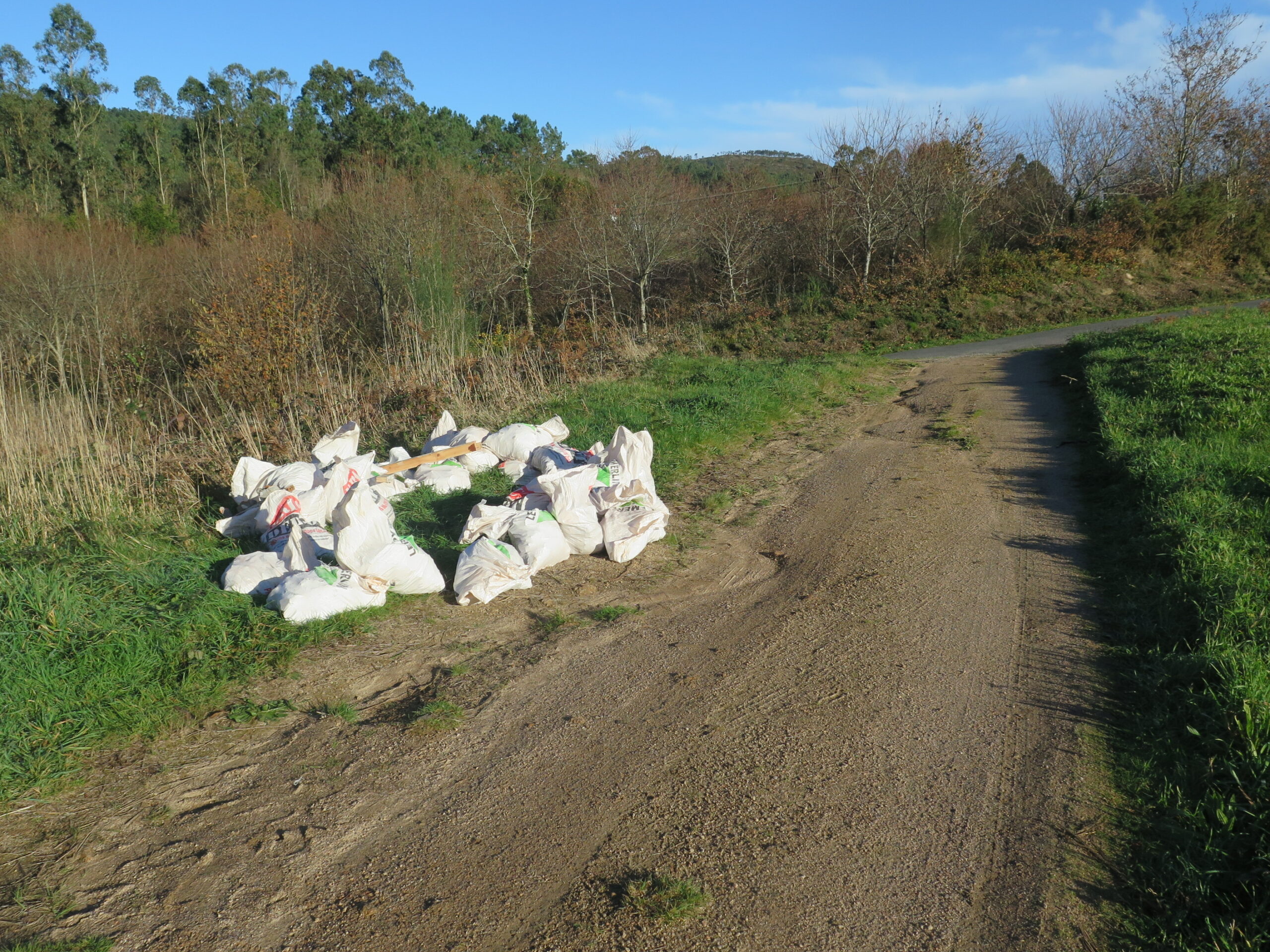 2025.12.29.- Verquido escombro