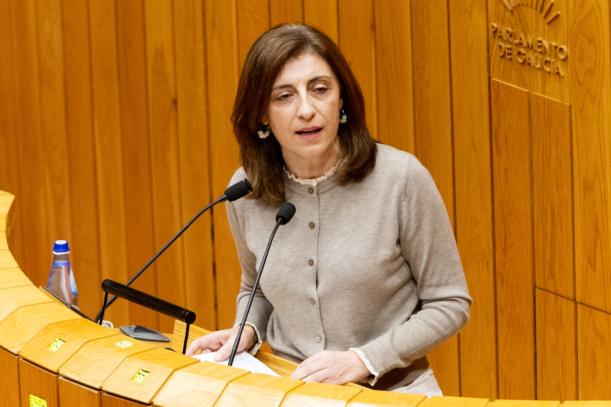 20251203 AVMInterpelacionParlamento