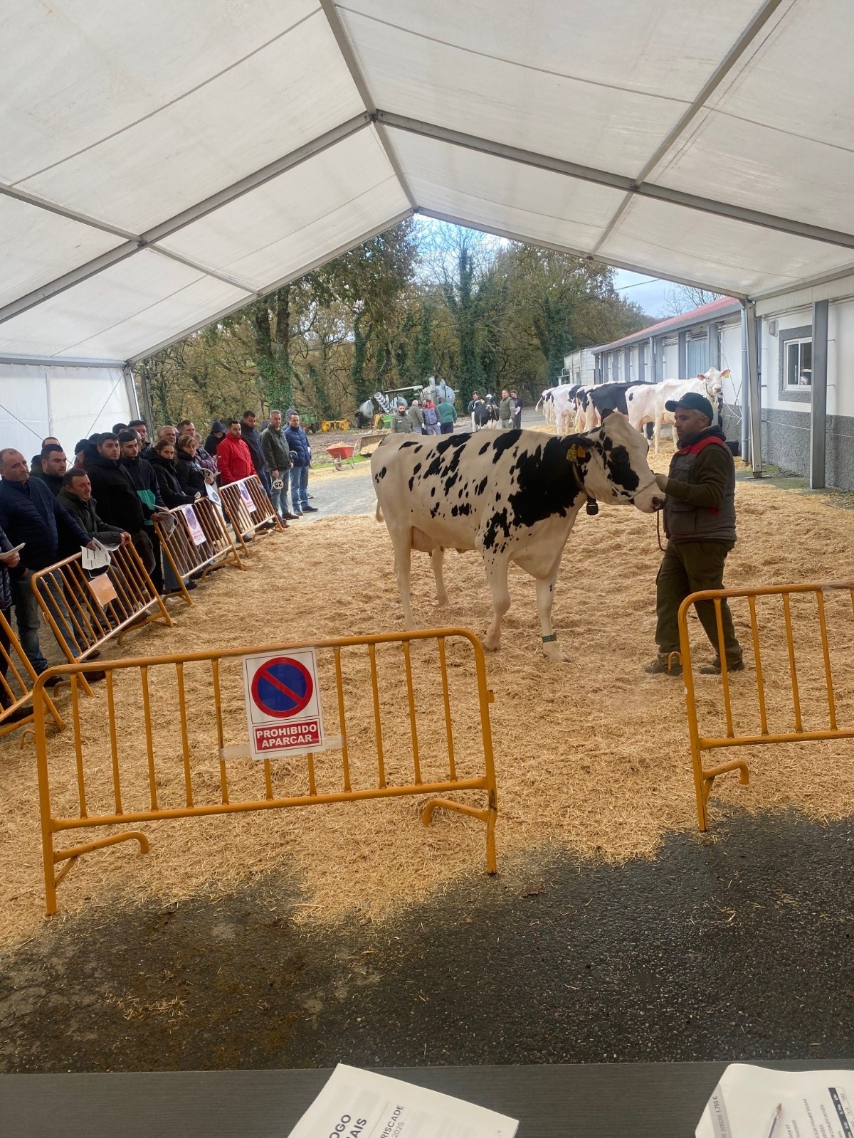 20251203_poxamouriscade