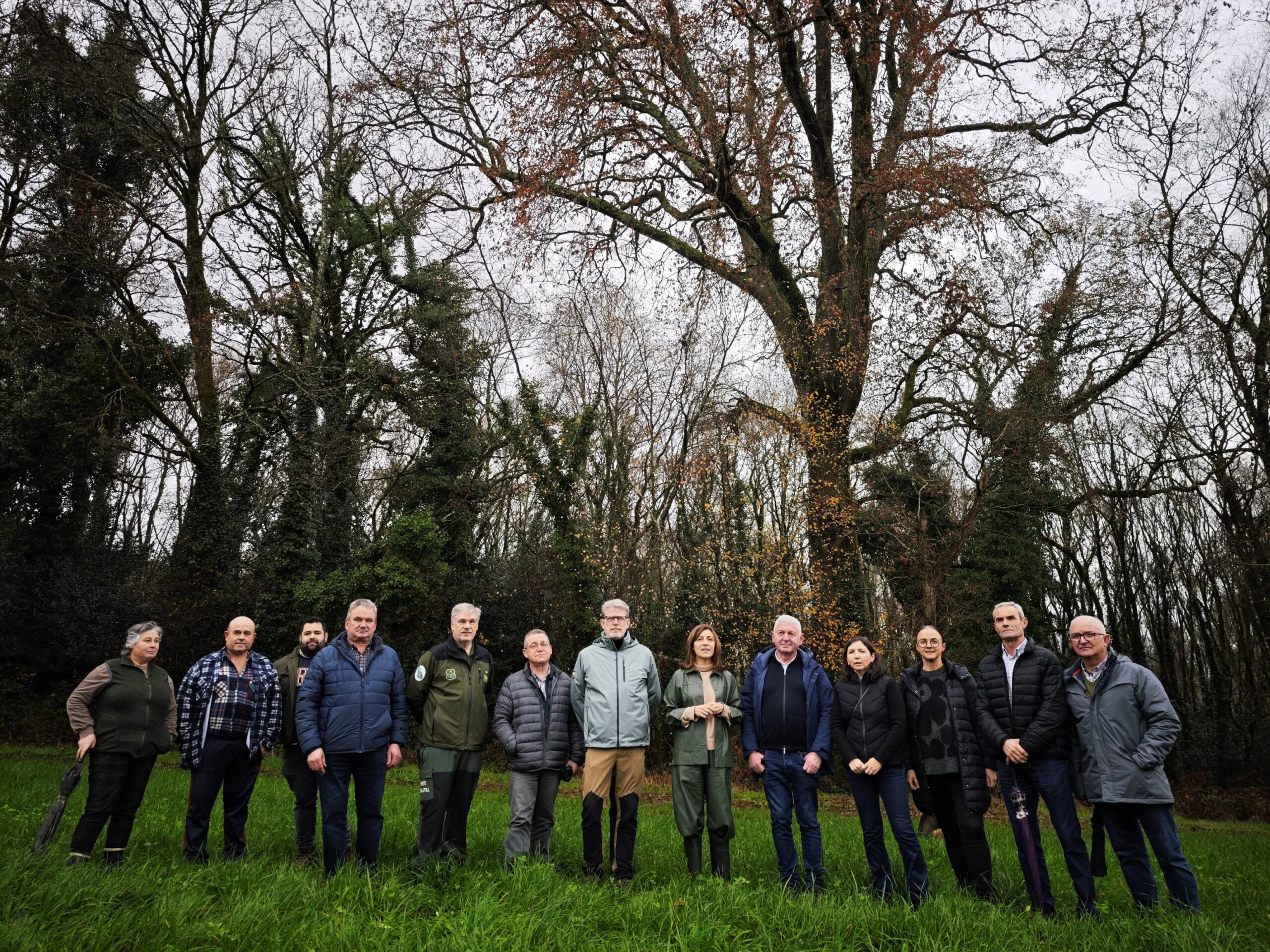 20251212 AVMArboreSenlleiraXermade1