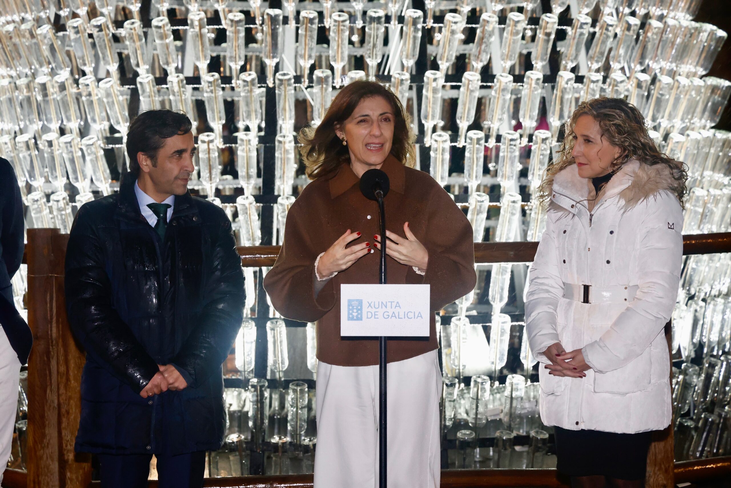 20251215 AVMArboreEcovidrioFerrol