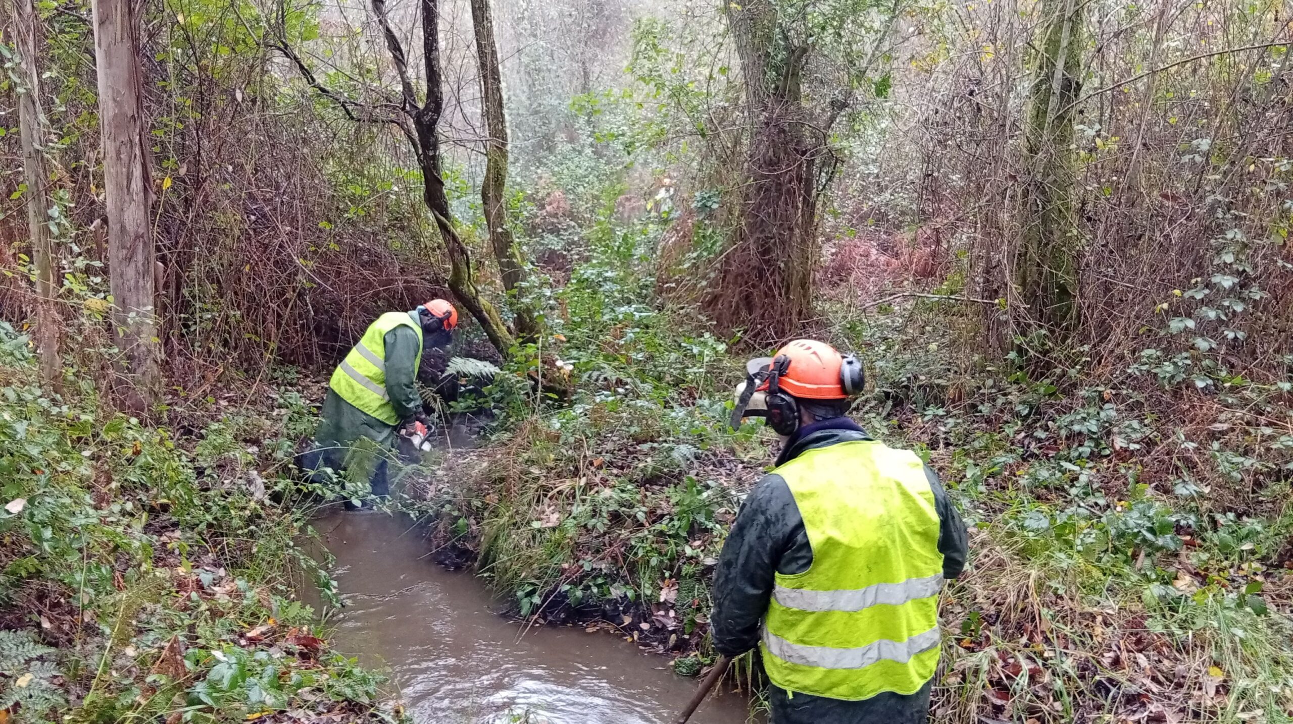 20251215 ConservacionFluvialBetanzosPaderne 1