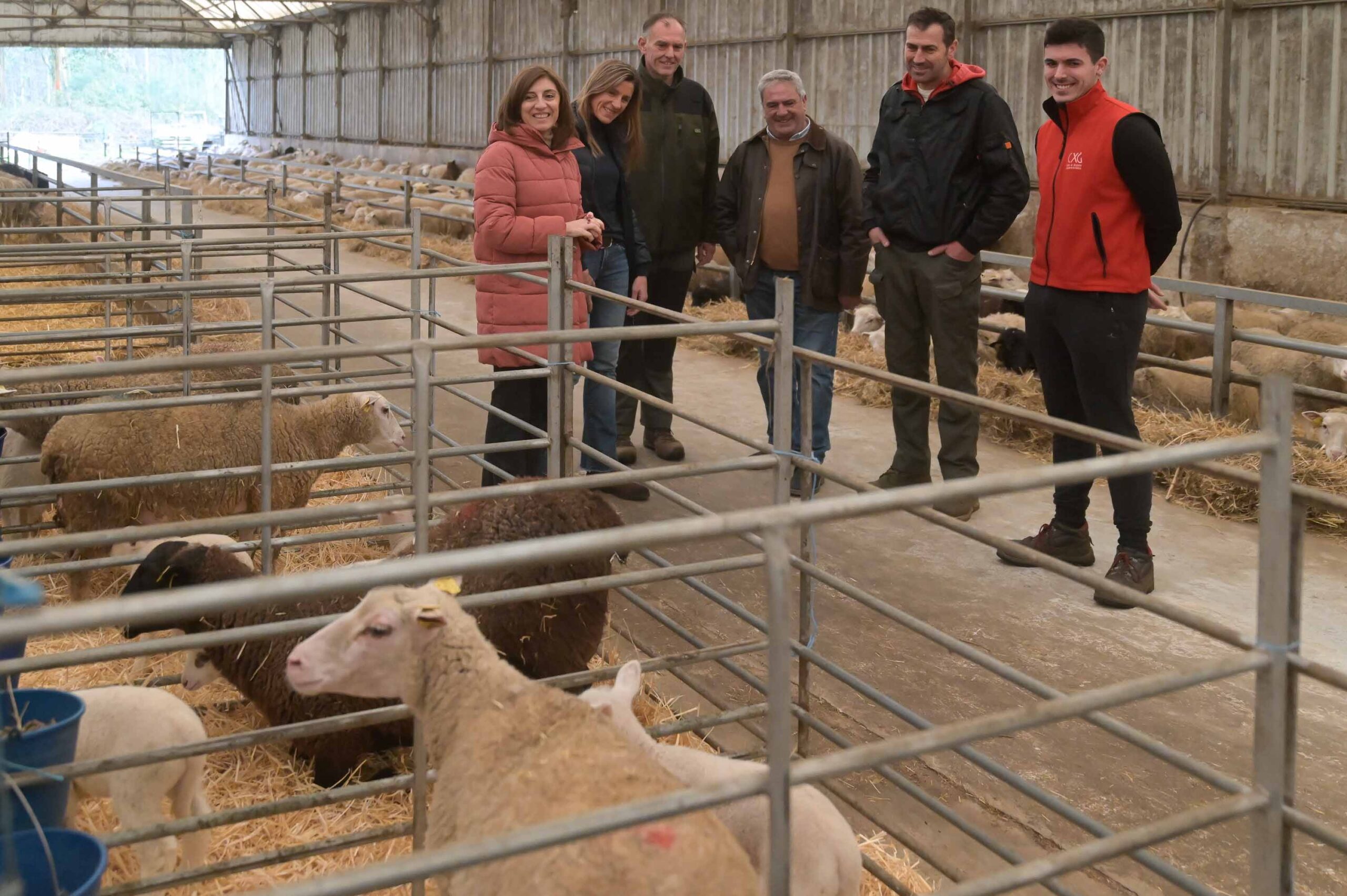 20251218 AVMExplotacionOvinoCarral