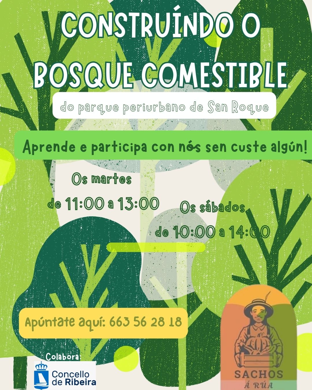 Cartel do bosque comestible. Decembro 2025