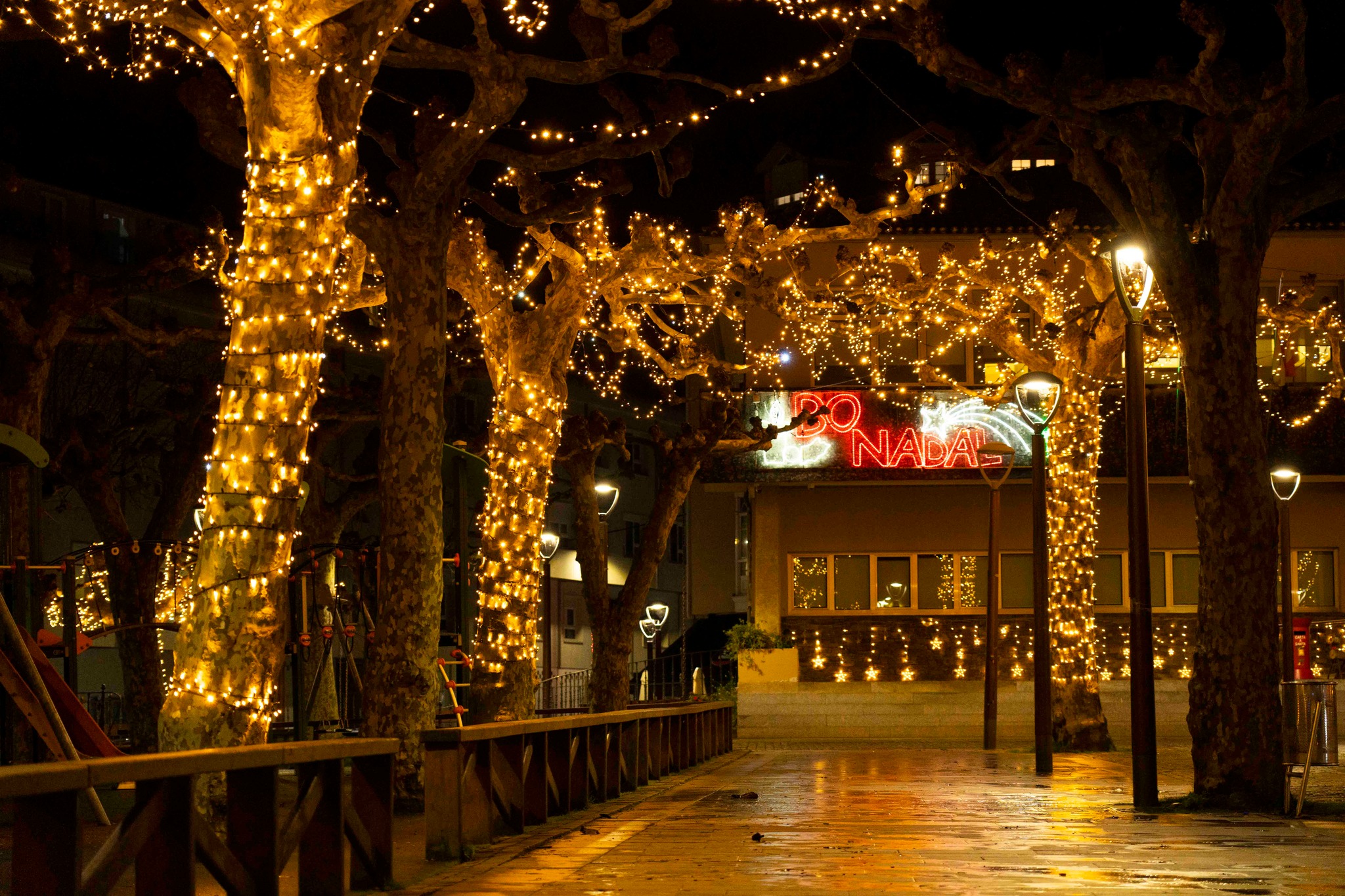 FOTO CARRAL- Decoracion Navidad 1