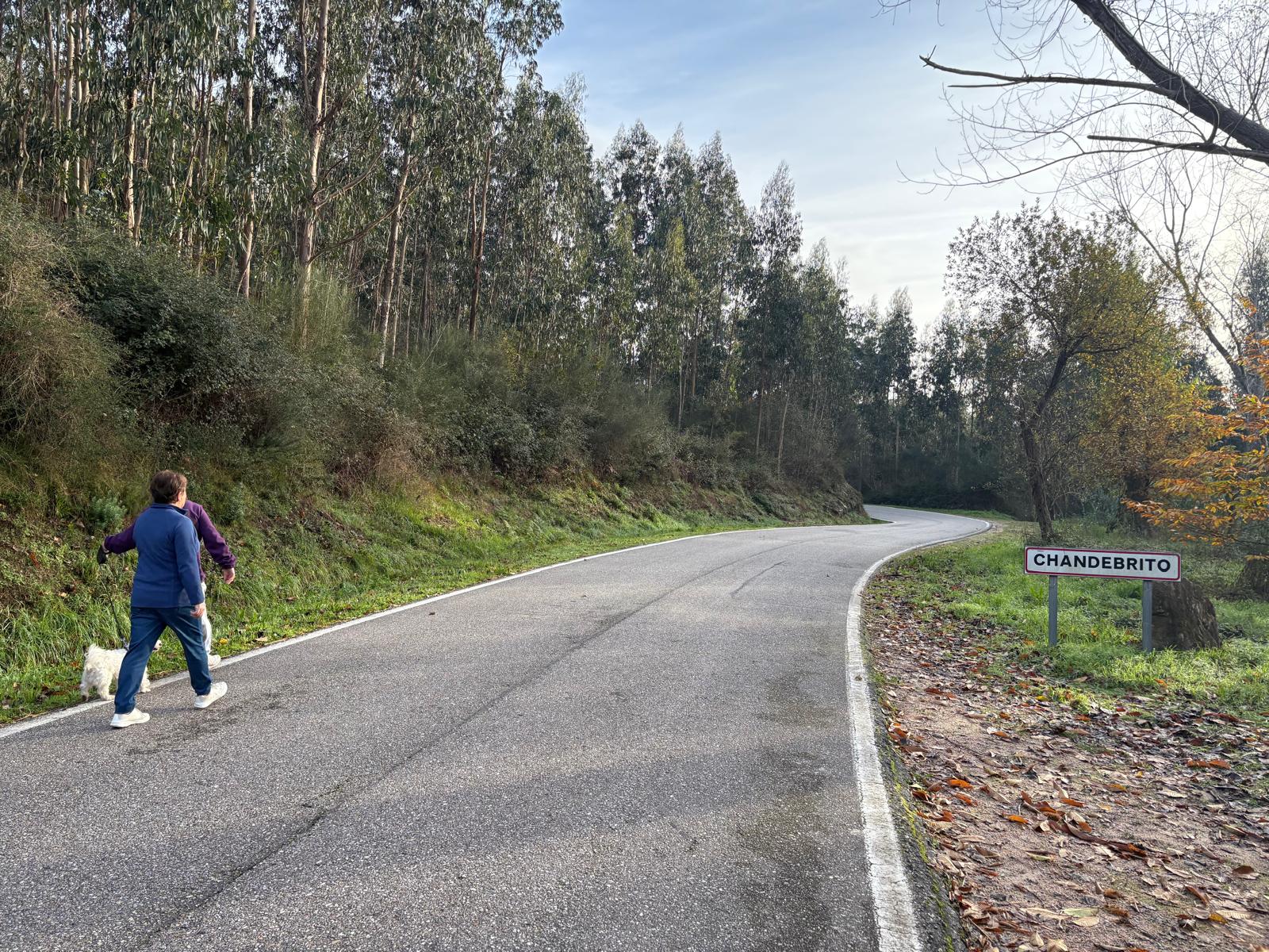 SencaCamosChande (1)