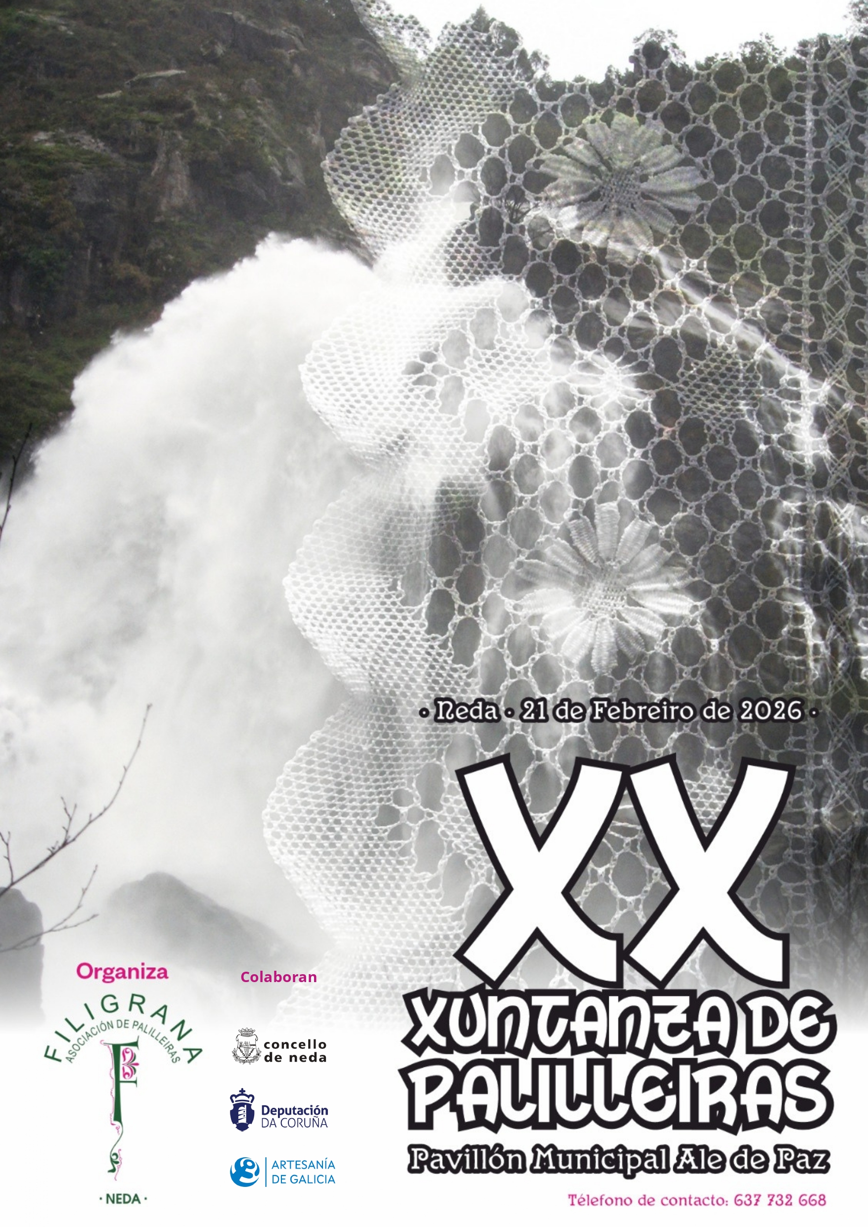 CARTEL XUNTANZA PALILLEIRAS_