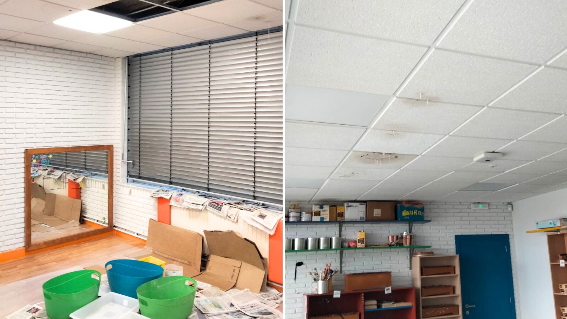 Foto_Pingueiras Saladino Cortizo