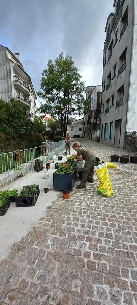 Obradoiro de Emprego 2