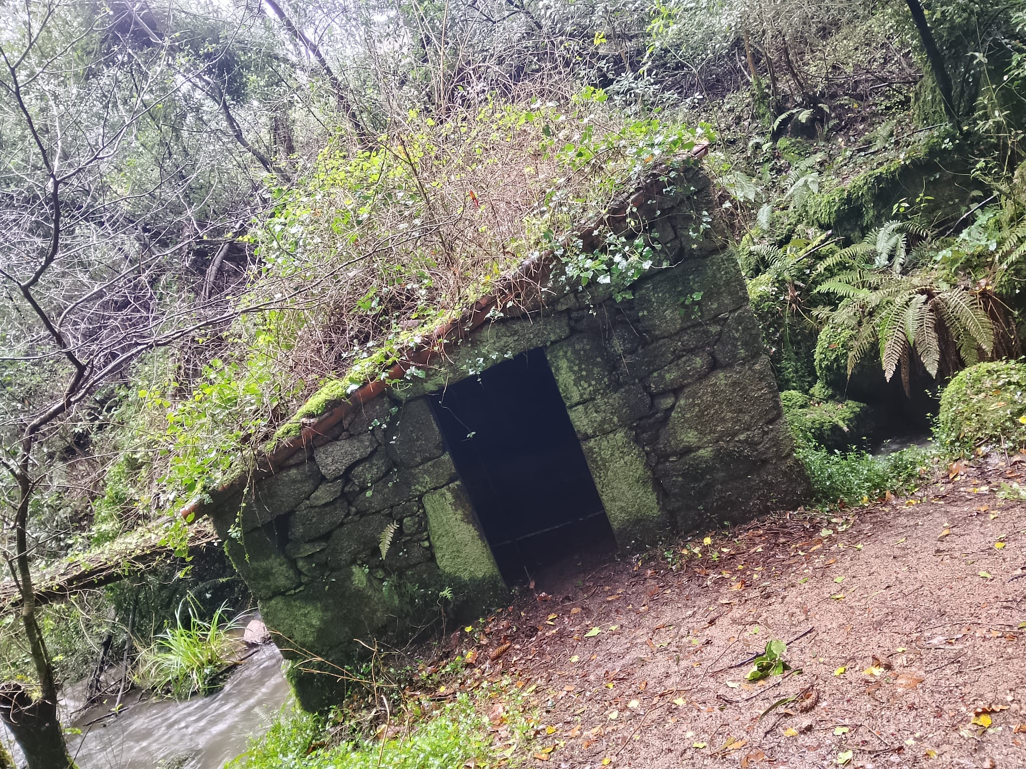 Rego das Xesteiras (9)