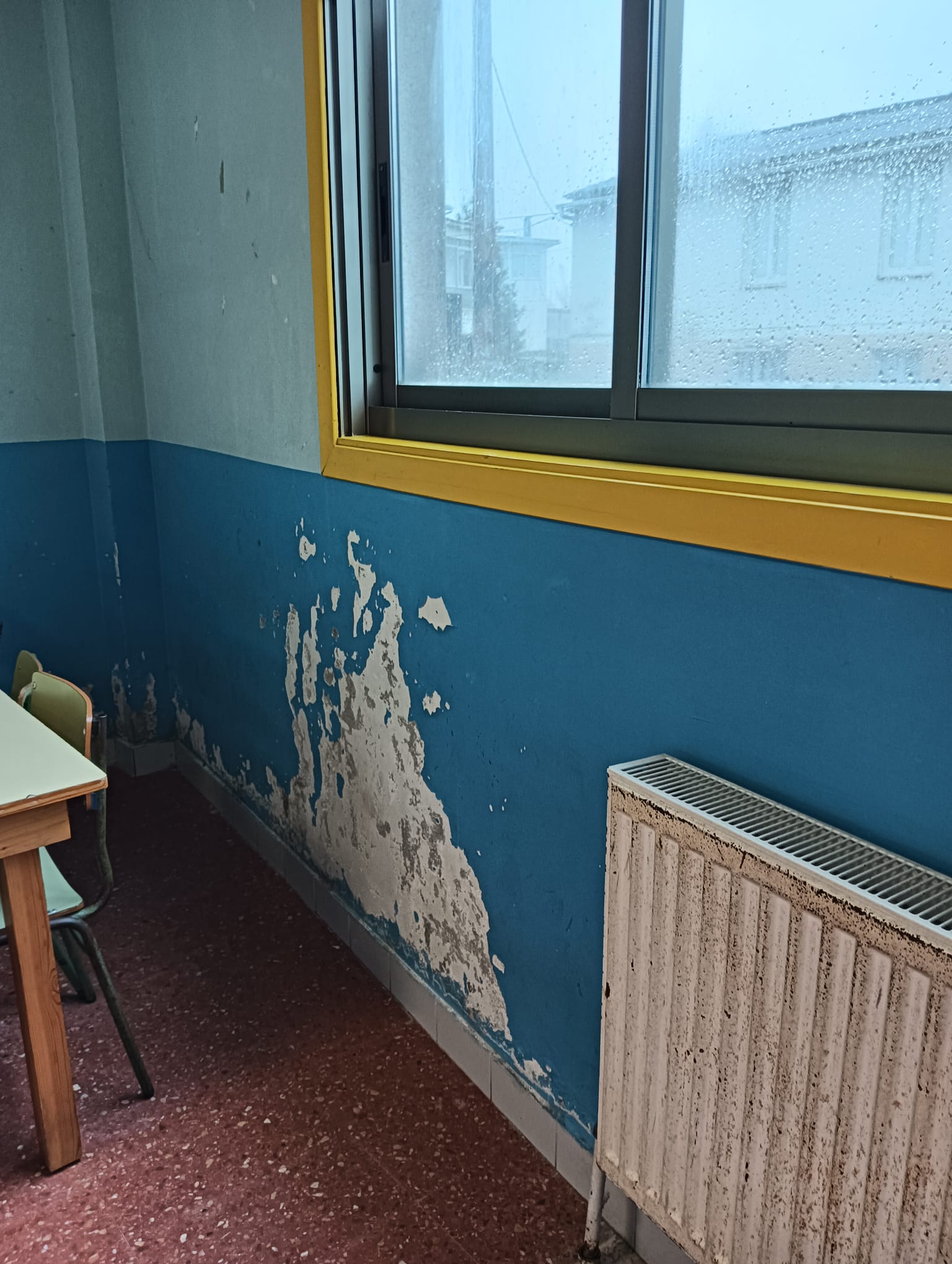 WhatsApp Image 2026-01-15 at 13.44.46