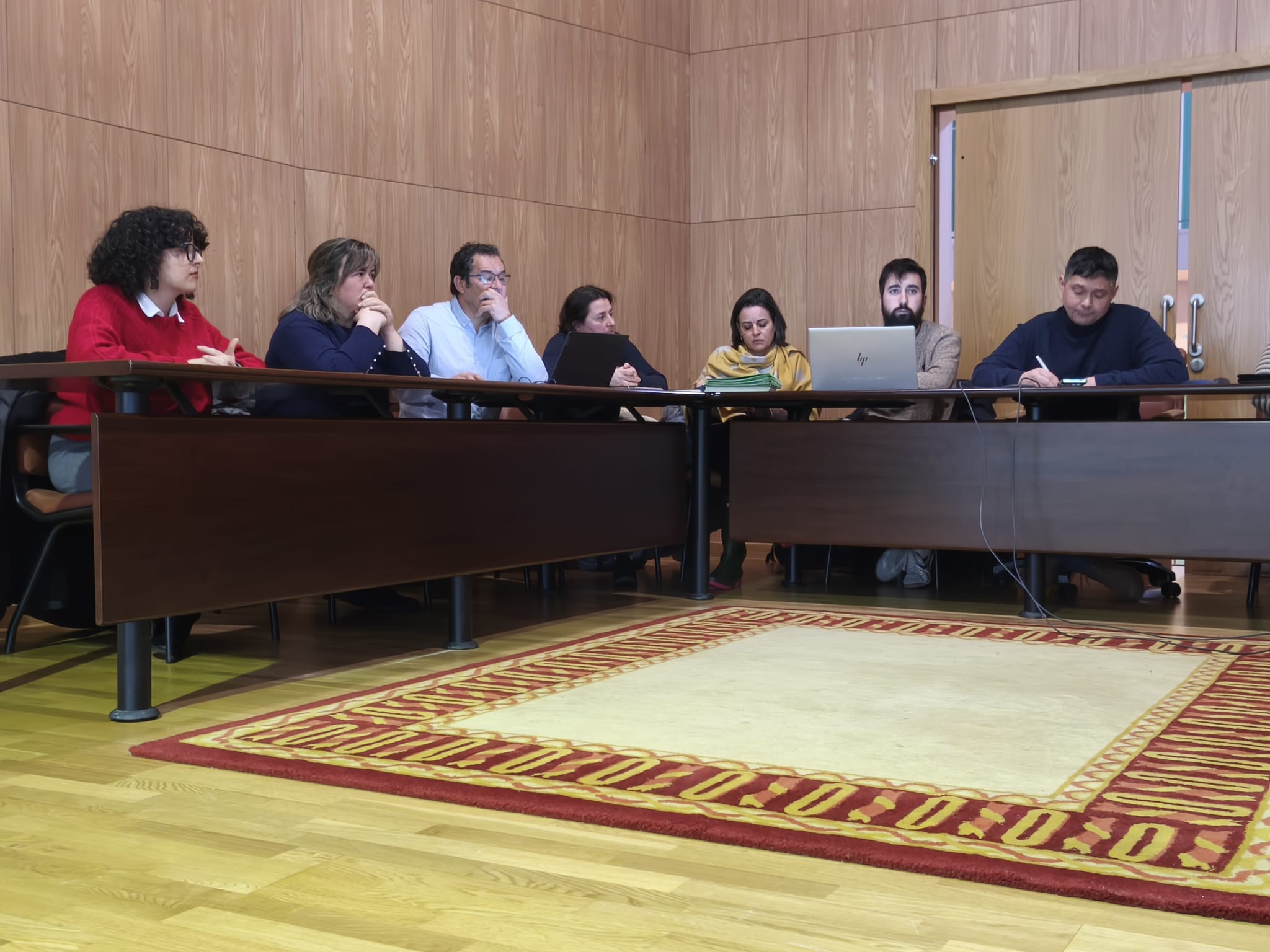 pleno ordinario concello 30 de xaneiro