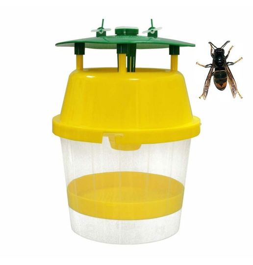 05-02-24_Trampas Velutinas