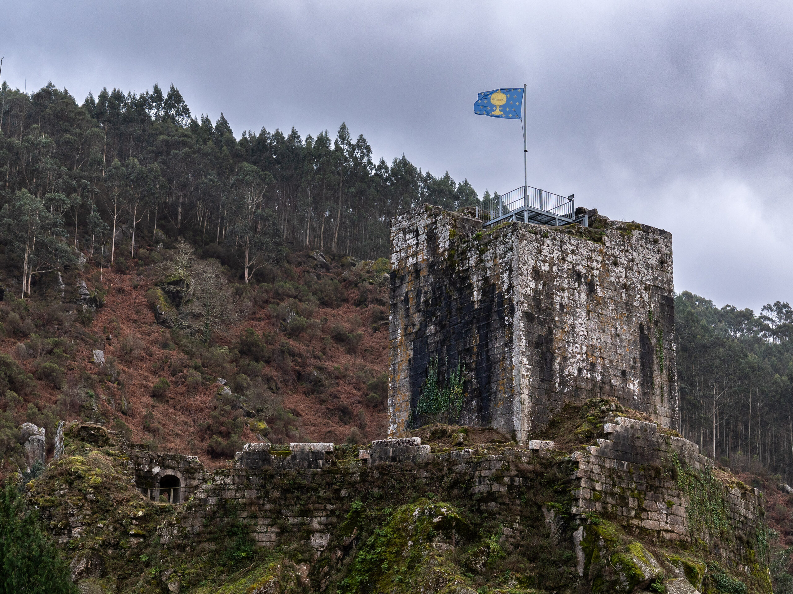 _DSC1345_Original ratio_3000x2250_H_210