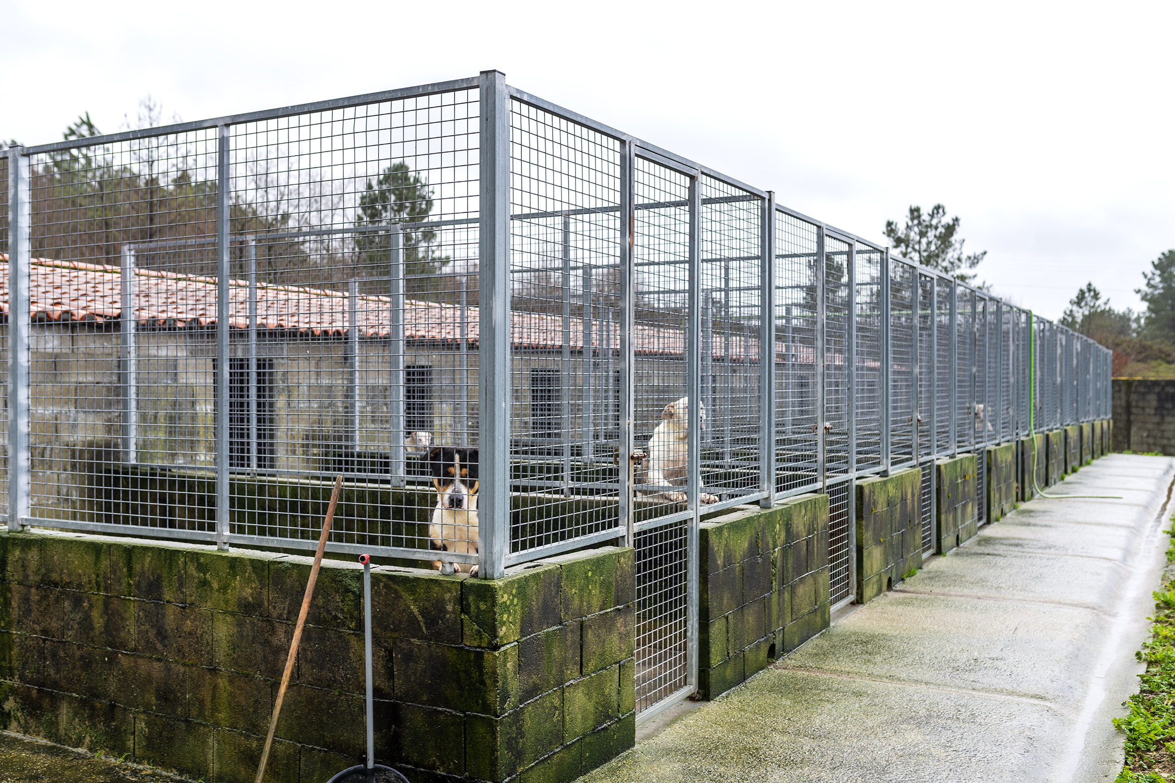 Refuxio A Medela no Carballiño – 2