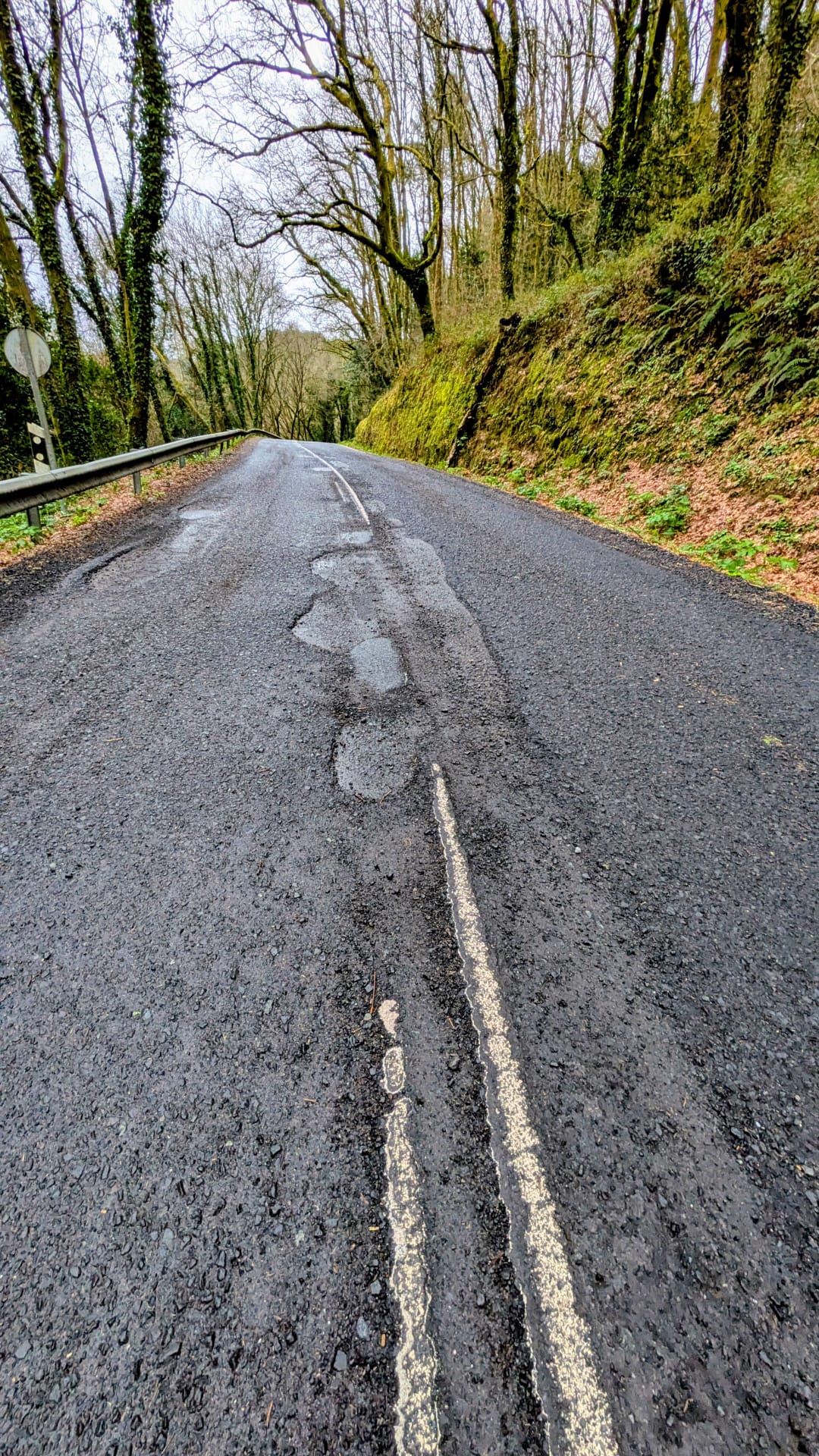 WhatsApp Image 2026-02-01 at 18.35.52