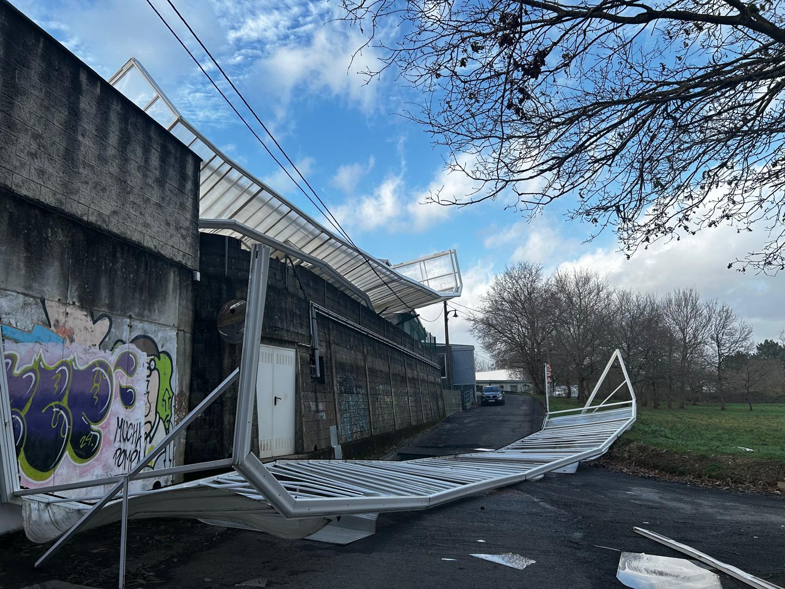 WhatsApp Image 2026-02-11 at 18.20.31