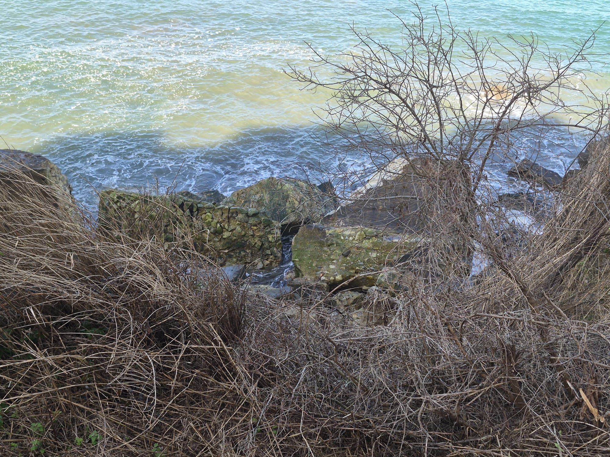 WhatsApp Image 2026-02-26 at 14.31.32 (1)