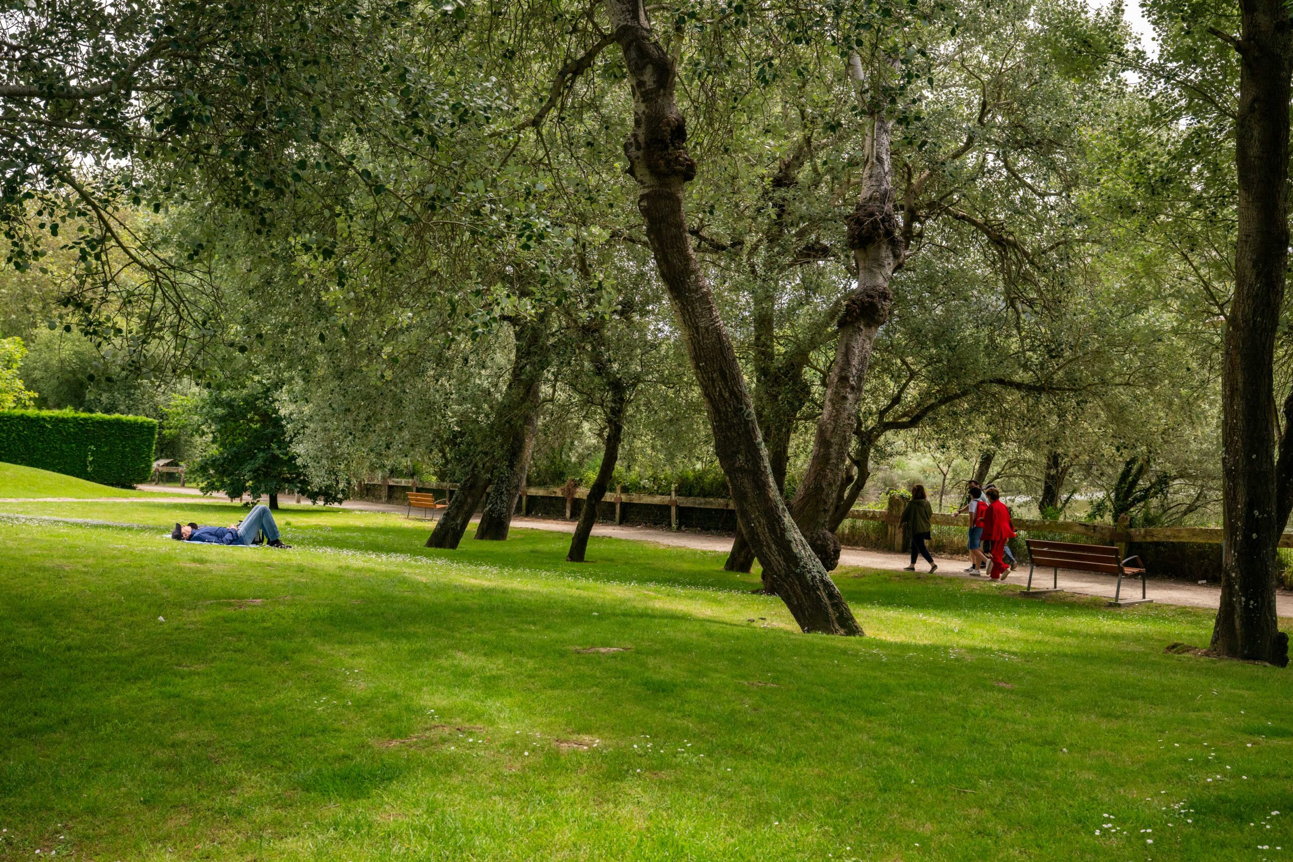 20250424 – Paseos e Parques 2025 – 223