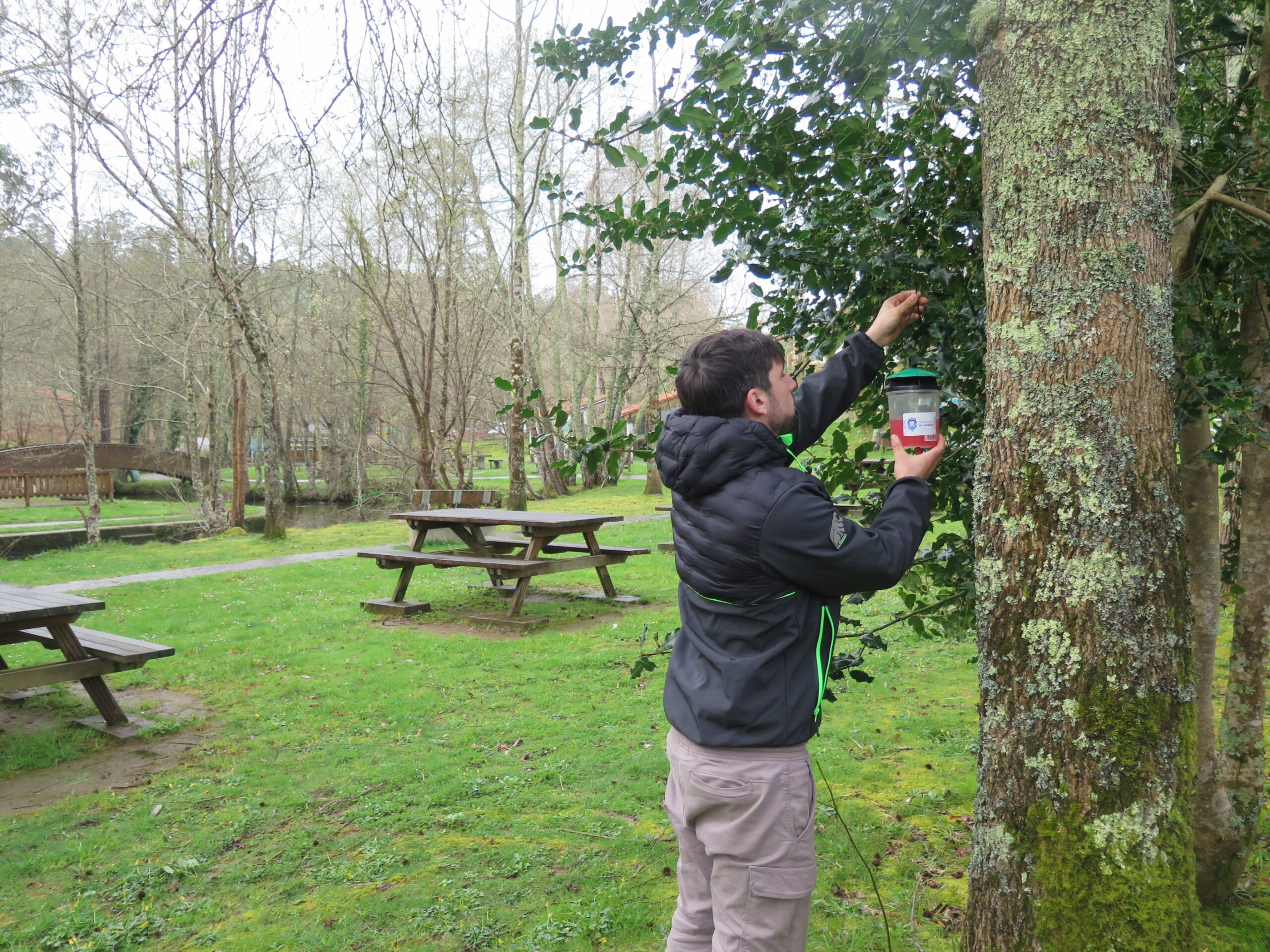 2026.03.06.- Inicio campaña trampeo velutinas. Colocación trampa na área recreativa de Gabenlle
