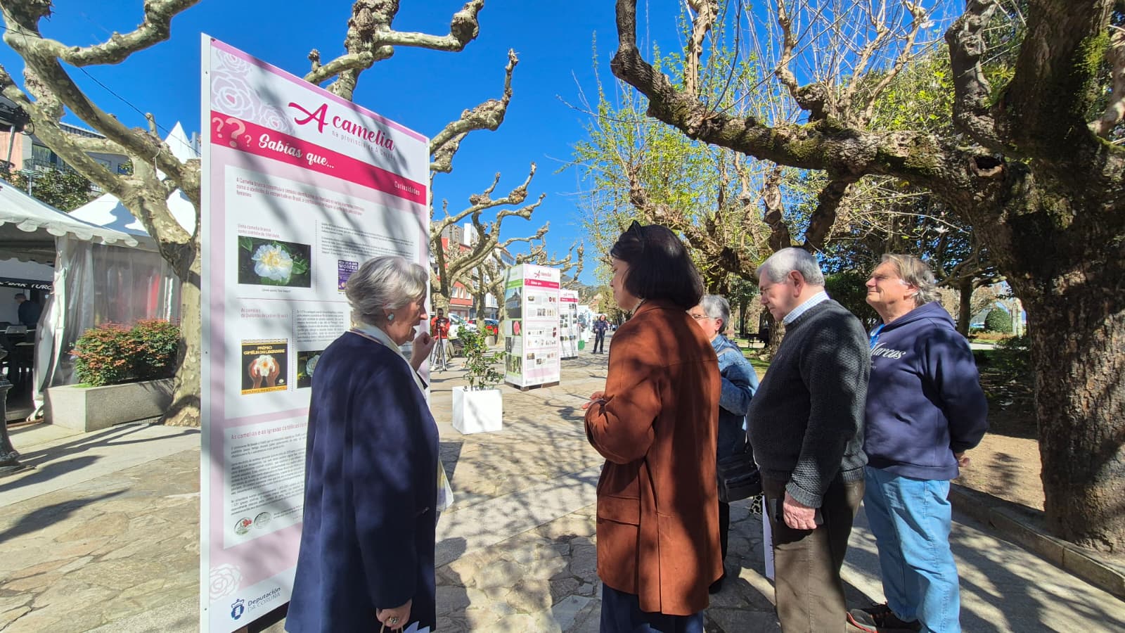 FOTO A POBRA- Exposicion camelia 4