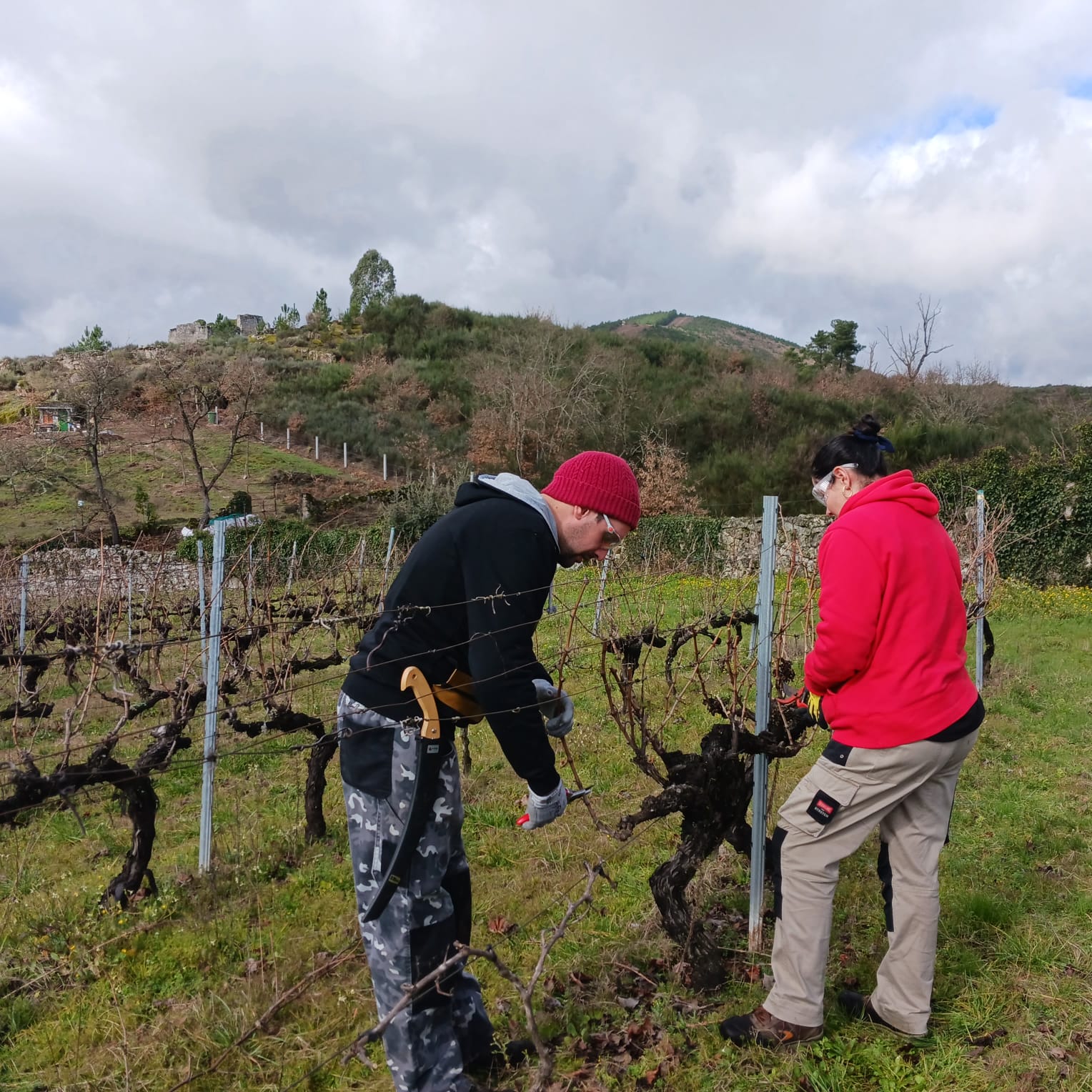 Foto curso poda Inorde (2)