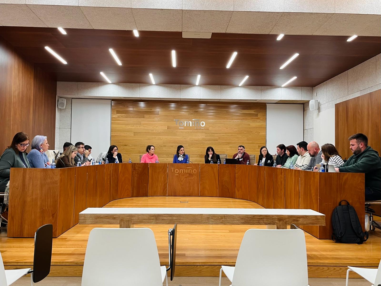 Imaxe do pleno celebrado este luns no Concello de Tomiño