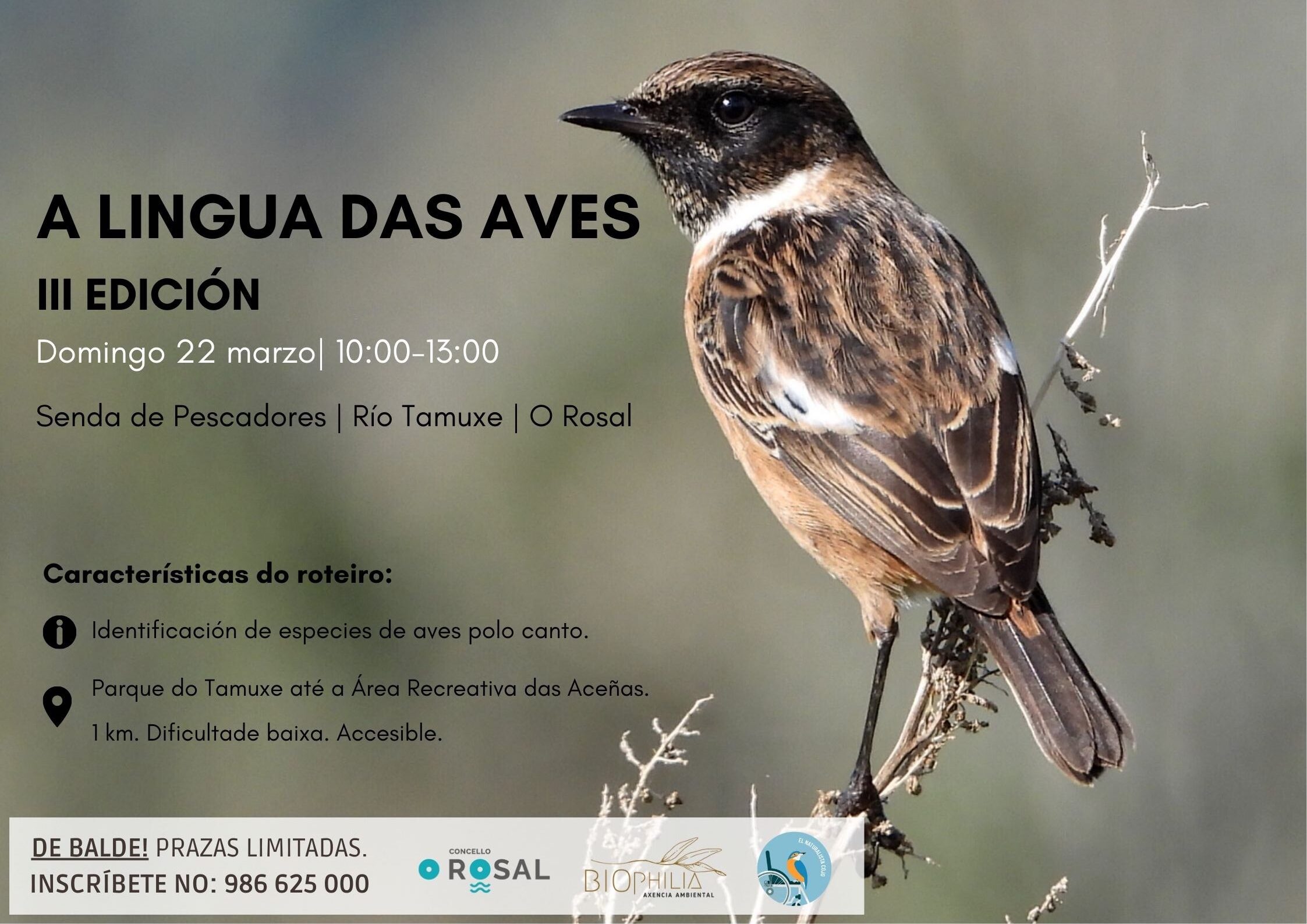 Cartel a lingua das aves – 1