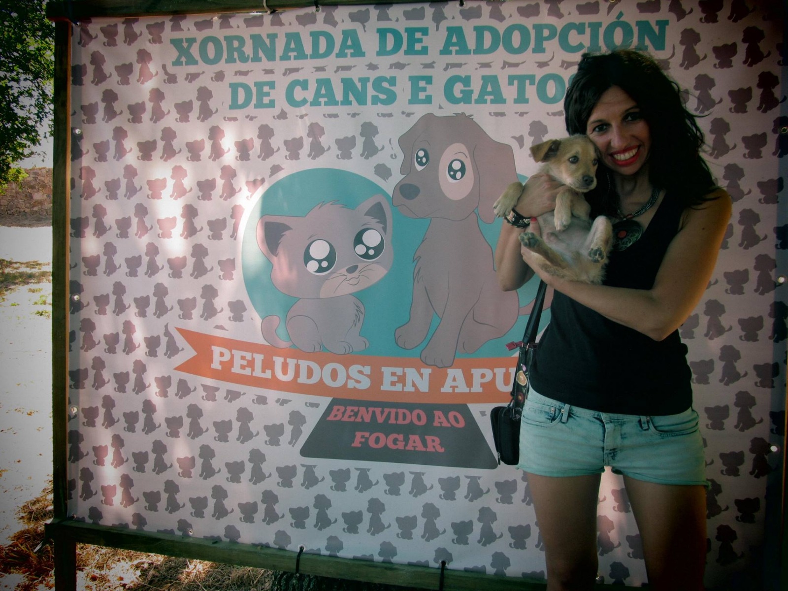 Tomiño organiza a primeira xornada de adopción canina e felina do ano