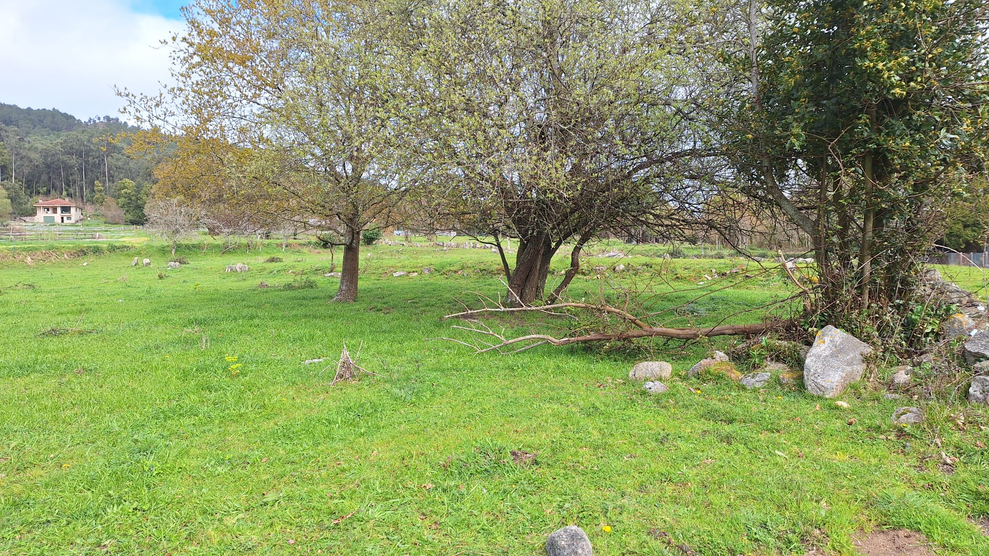 localizacion novo punto limpo (1)