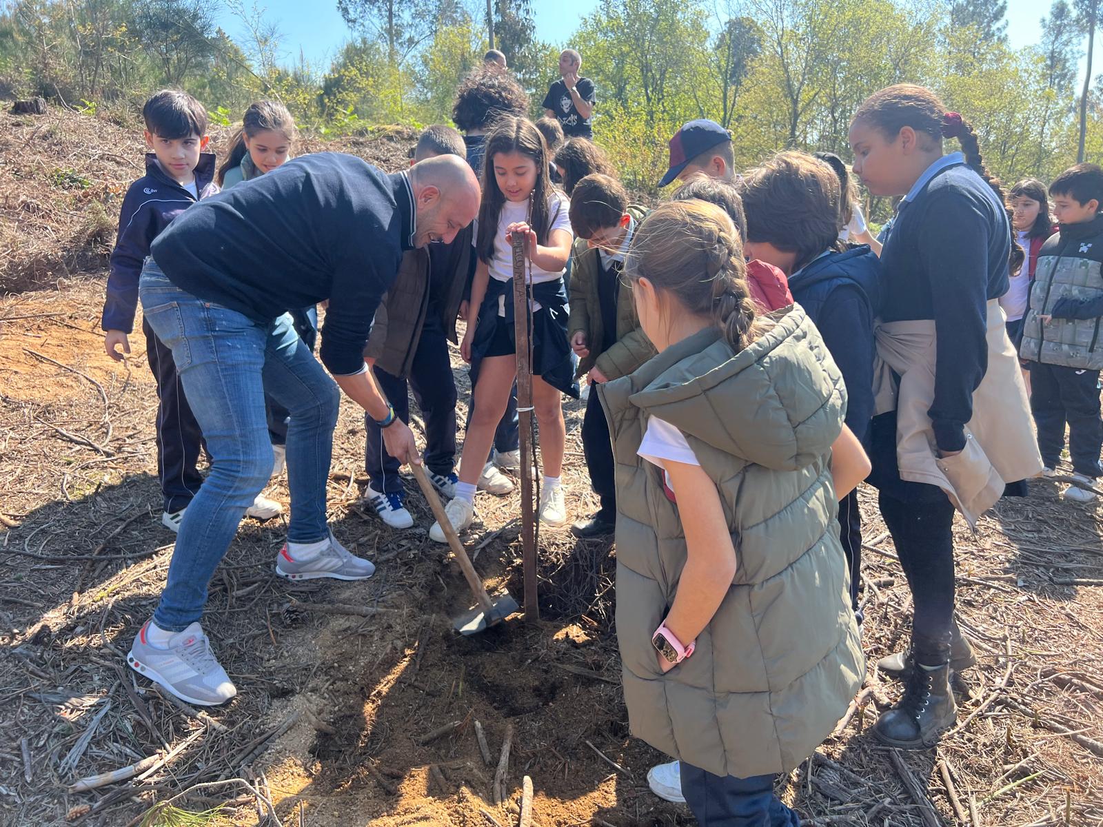 prantacion arbores risca 1